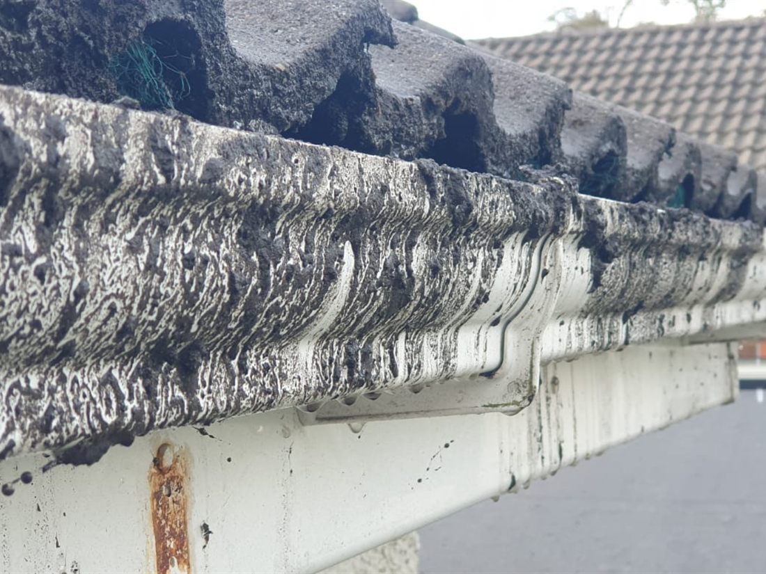 Dirty gutter and fascia before uPVC fascia and soffit cleaning